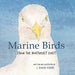 Marine Birds: from the Northeast Coast