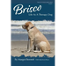 Brisco, Life As A Therapy Dog
