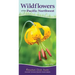 Wildflowers of the Pacific Northwest: Your Way to Easily Identify Wildflowers