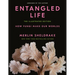Entangled Life: The Illustrated Edition: How Fungi Make Our Worlds