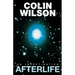 Afterlife: An Investigation
