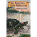 Sir Frederique von Turtlestein