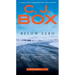 Below Zero