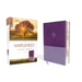 Amplified Study Bible, Imitation Leather, Purple