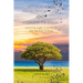 International Environmental Law and Climate Change: Exploring Legal Frameworks and the Way Forward