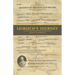 Leibisch's Journey