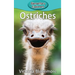 Ostriches