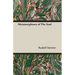 Metamorphoses of the Soul
