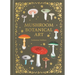 Mushroom Botanical Art