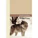 White Fang