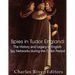 Spies in Tudor England: The History and Legacy of English Spy Networks during the Tudor Period