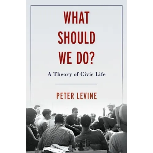 What Should We Do?: A Theory of Civic Life