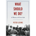 What Should We Do?: A Theory of Civic Life