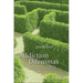 Addiction Dilemmas: Family Experiences from Literature and Research and Their Lessons for Practice