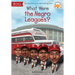 What Were the Negro Leagues?