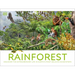 Rainforest