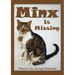 Minx is Missing