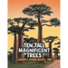 Ten Tall Magnificent Trees
