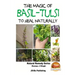 The Magic of Basil - Tulsi To Heal Naturally