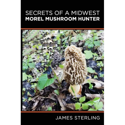 Secrets of a Midwest Morel Mushroom Hunter
