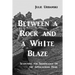Between a Rock and a White Blaze: Searching for Significance on the Appalachian Trail