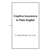 Captive Insurance in Plain English
