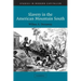 Slavery in the American Mountain South