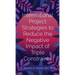 International Project Strategies to Reduce the Negative Impact of Triple Constraints