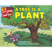 A Tree Is a Plant