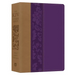 The KJV Study Bible - Large Print [violet Floret]