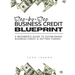 Step By Step Business Credit Blueprint
