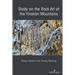 Study on the Rock Art at the Yin Mountains