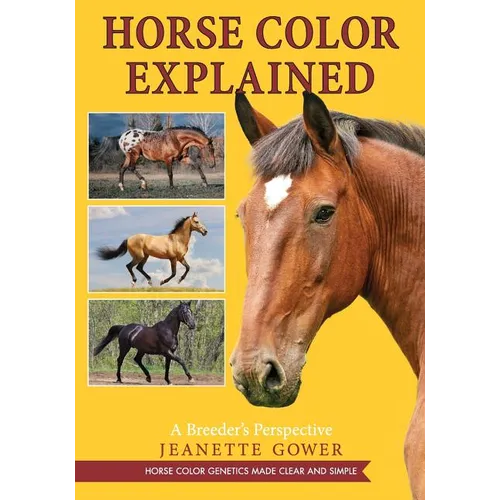 Horse Color Explained: A Breeder's Perspective