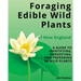 Foraging Edible Wild Plants of New England: A Guide to Identifying, Harvesting, and Preparing 90 Wild Plants