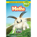 Moths: Backyard Bugs and Creepy-Crawlies (Engaging Readers, Level Pre-1)
