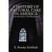 A History of Pastoral Care in America
