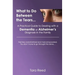 What to Do Between the Tears...: A Practical Guide to Dealing with a Dementia or Alzheimer's Diagnosis in the Family