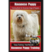 Havanese Puppy Training Book for Havanese Dogs & Puppies By BoneUP DOG Training: Are You Ready to Bone Up? Easy Training * Fast Results Havanese Puppy