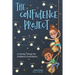 The Confidence Project: A Journey Through the Confidence Constellation