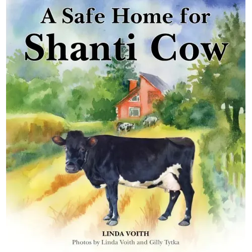 A Safe Home for Shanti Cow