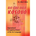 Air War Over Kosovo: Operational and Logistical Issues of the Air Campaign