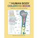 The Human Body Coloring Book: From Cells to Systems and Beyond