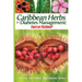 Caribbean Herbs for Diabetes Management: Fact or Fiction?