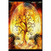 Paradigms of Meditation