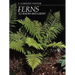 Ferns to Know and Grow