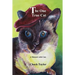 The One True Cat a Memoir with Cats