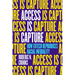 Access Is Capture: How Edtech Reproduces Racial Inequality