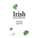 Irish-English English-Irish Dictionary & Phrasebook