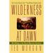 Wilderness at Dawn: The Settling of the North American Continent