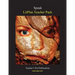 Litplan Teacher Pack: Speak